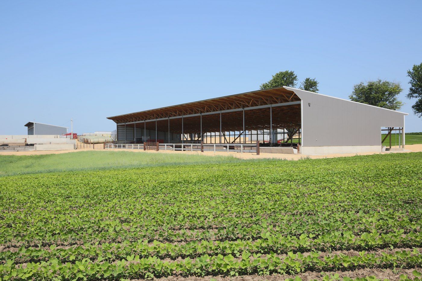 Ryan Jargo_Slatted Facility_Monoslope Beef Barns