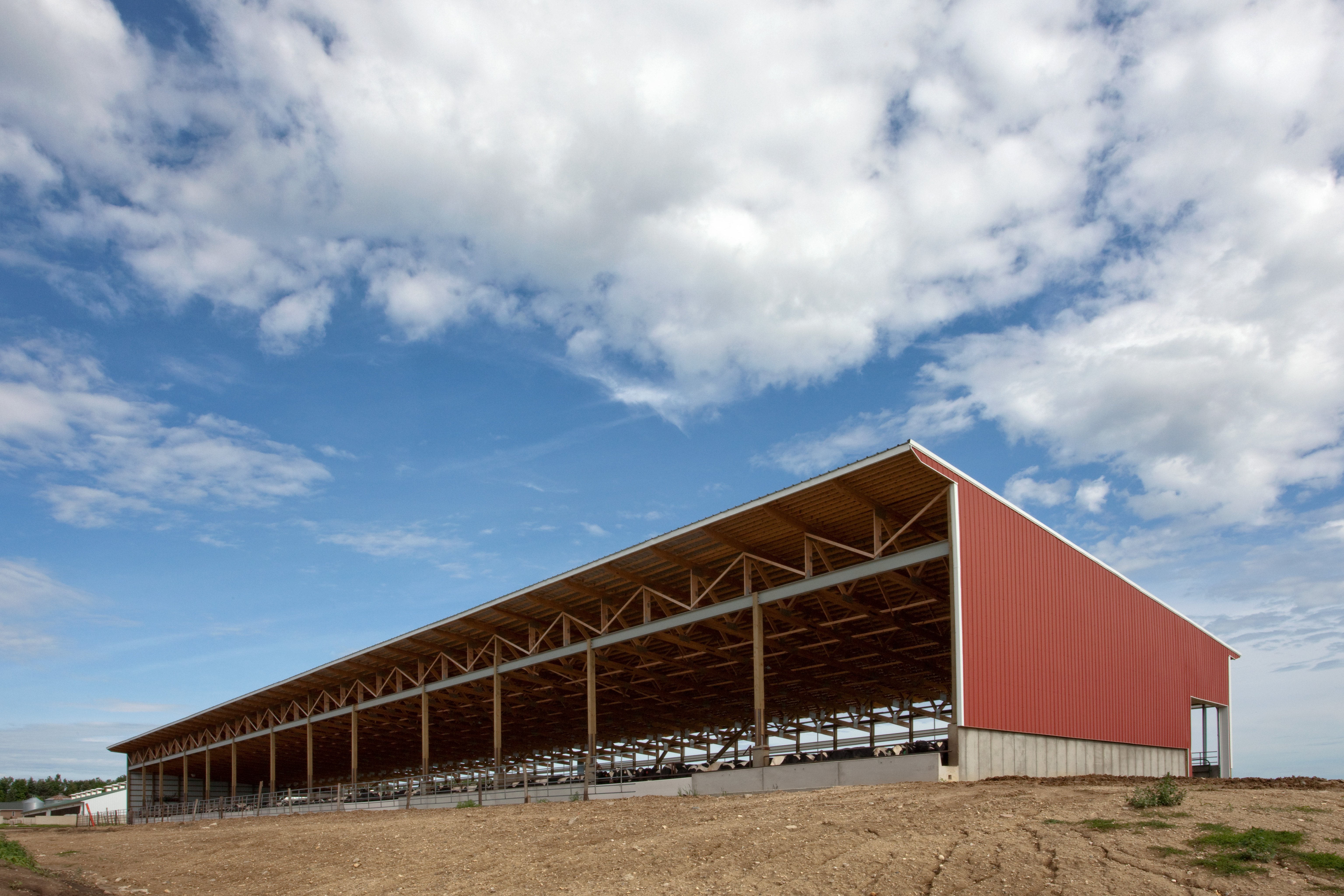 Layton Gruis_Slatted Facility_Summit Livestock Facilities