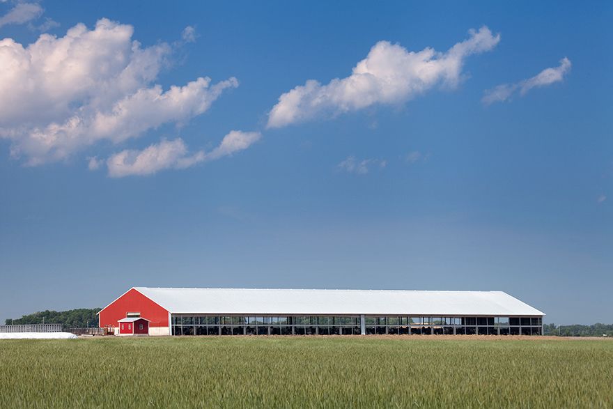 Dave Lepley_Slatted Facility_Summit Livestock Facilities_E