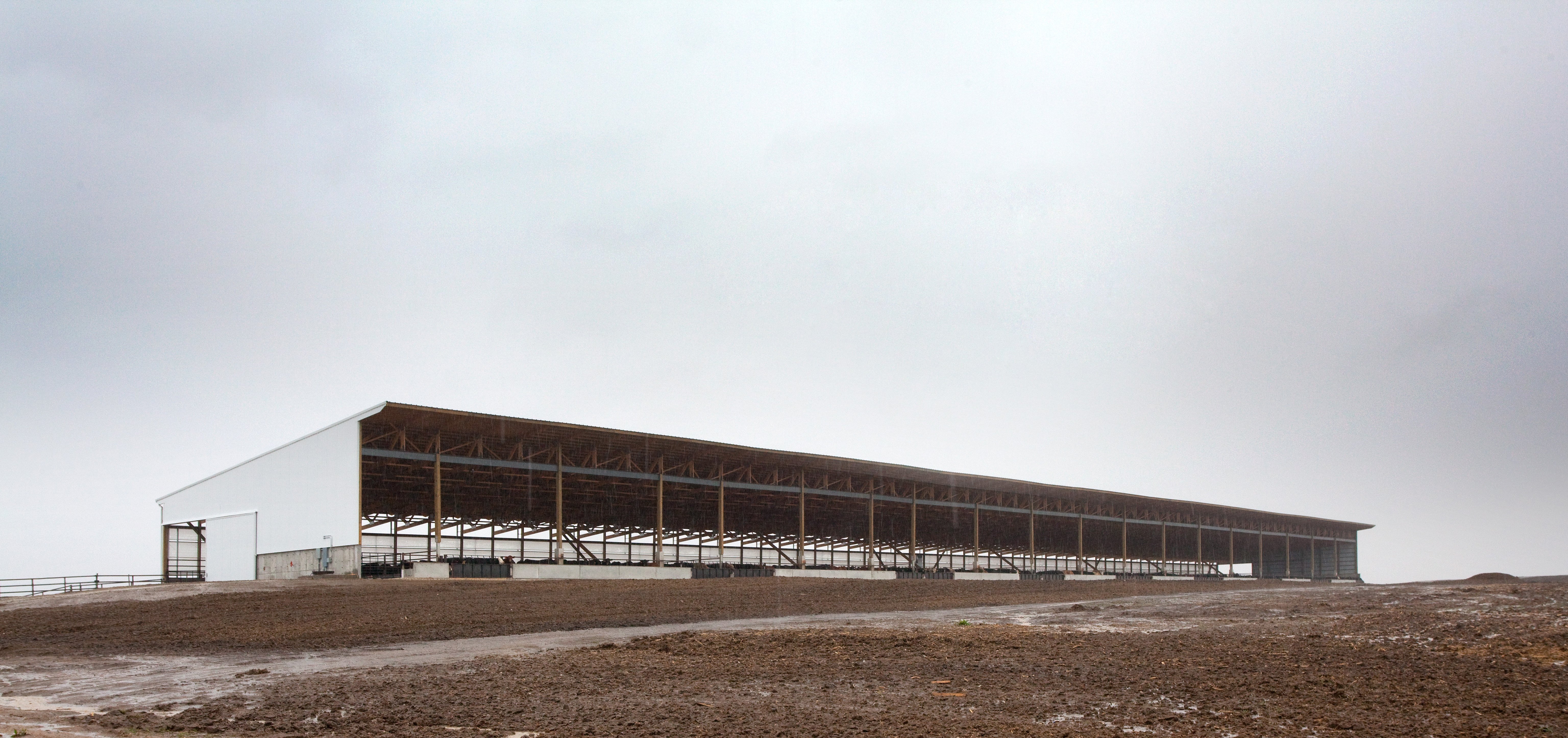 Jon Weitzenkamp_Slatted Facility_Summit Livestock Facilities