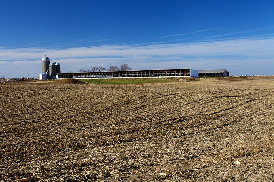 Al Lyman_Slatted Facility_Summit Livestock Facilities