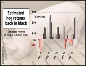 Estimated Hog Returns_Summit Livestock Facilities