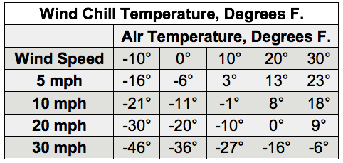 beef barns, cattle temperatures