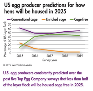 Cage free eggs_egg producer predictions