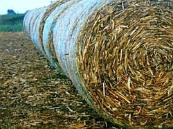 Straw Bales