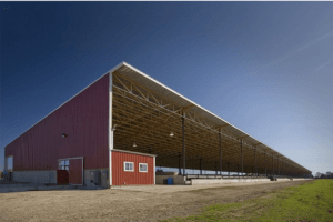 monoslope beef barns