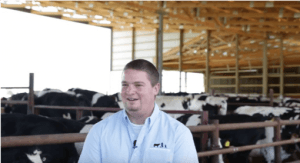 summit livestock facilities monoslope beef barn