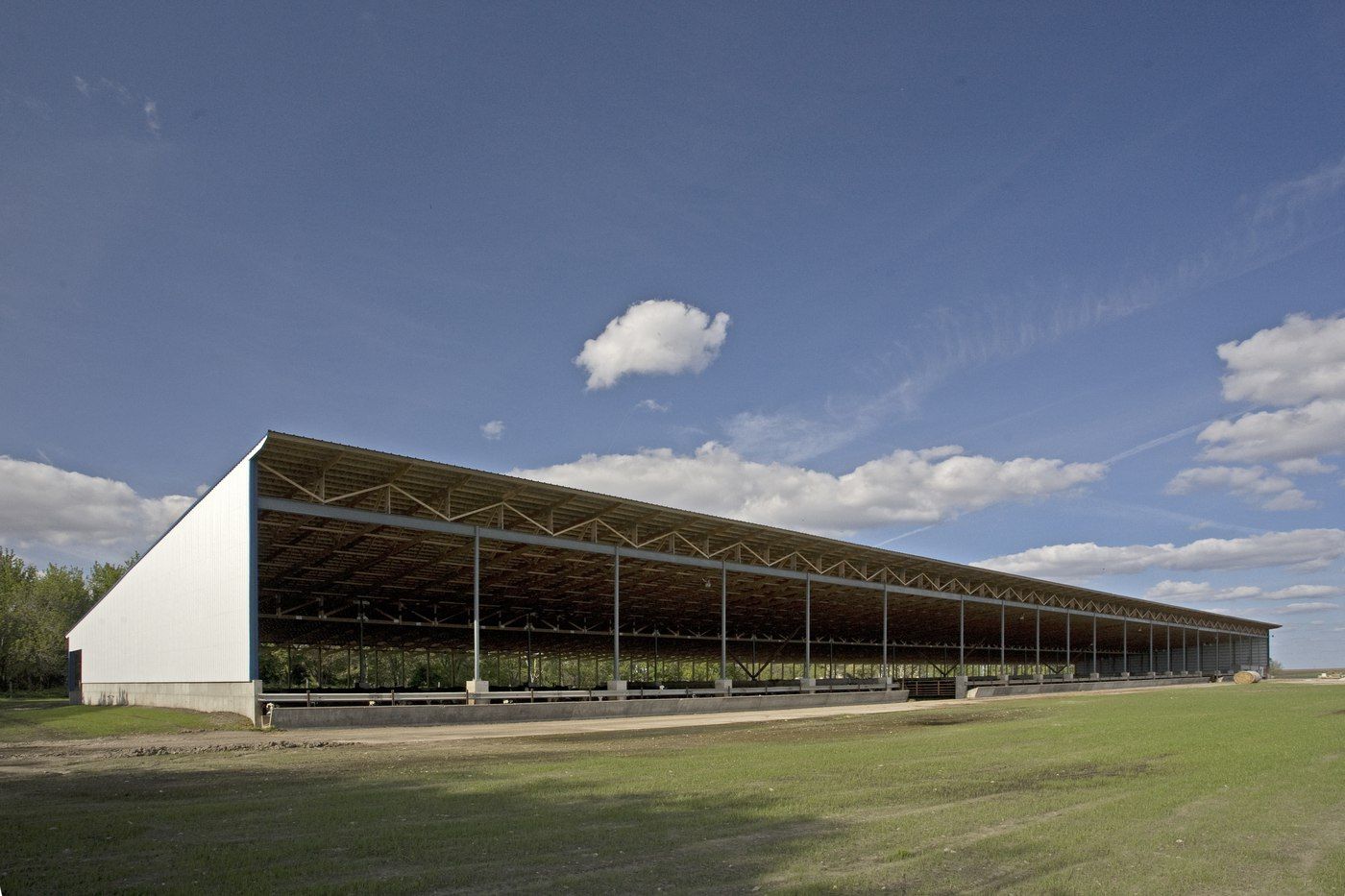 Craig Sandven_Bed Pack Facility_Monoslope Beef Barn