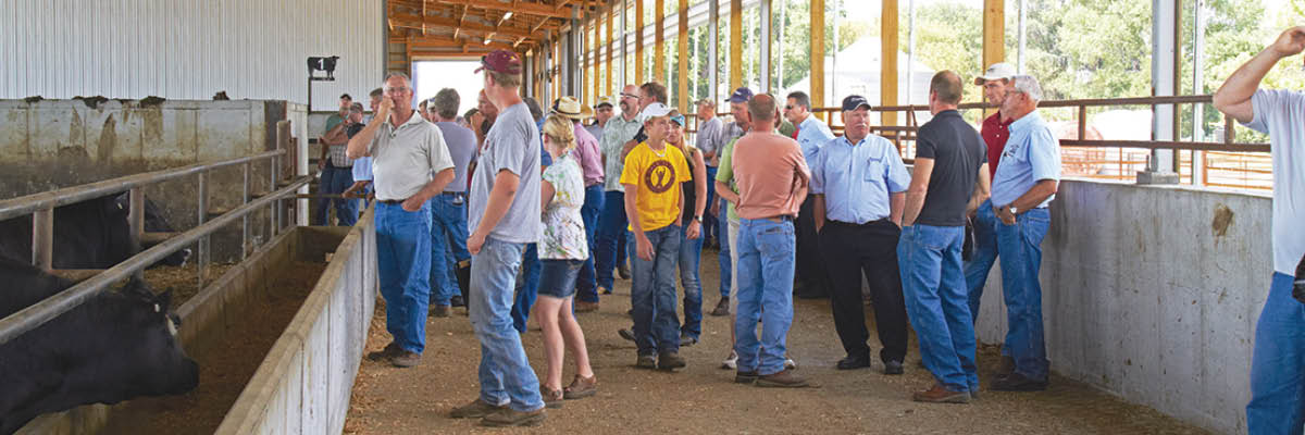 Beef Sales Team: Meeting The Needs of Animals and Owners