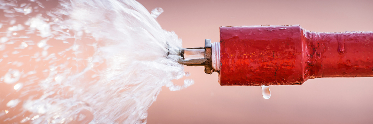 Sprinkler systems in broiler houses help keep birds healthy