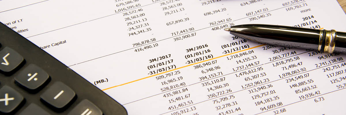 Independent Financial Feasibility Analysis