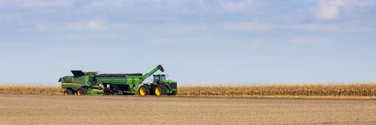 Mental and Physical Harvest Health and Safety