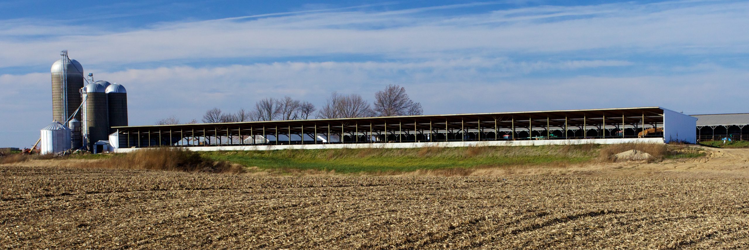 Irish farmers visit Illinois beef farm