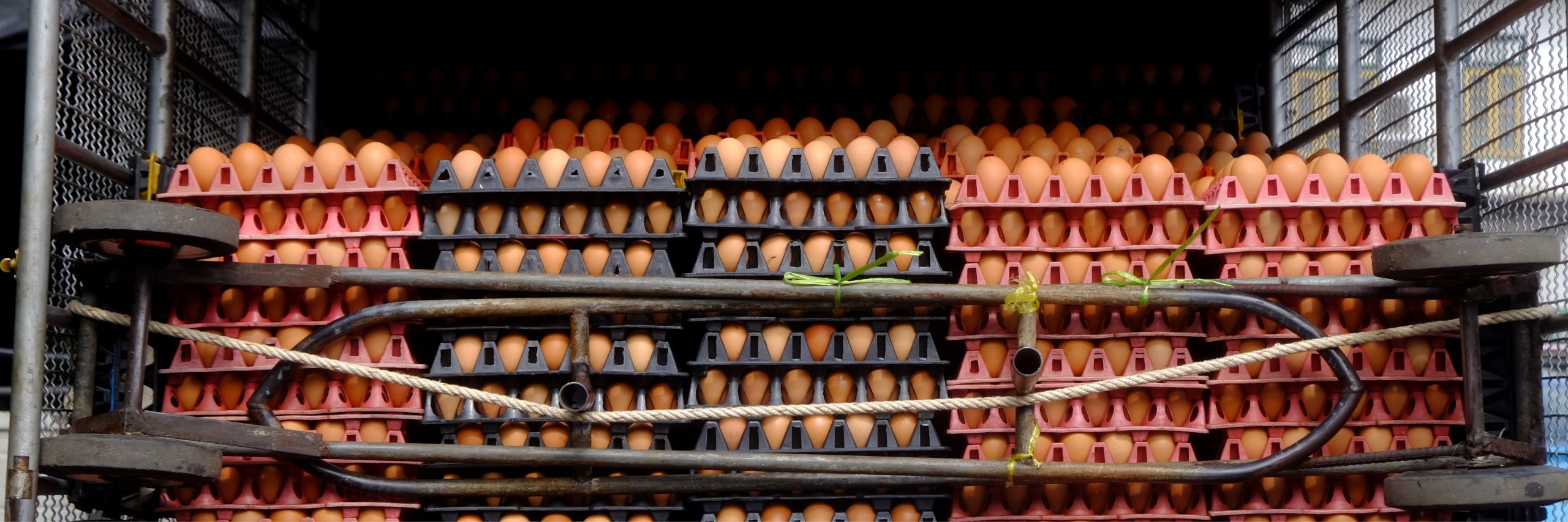 Eggs Remain a Protein Source in High Demand