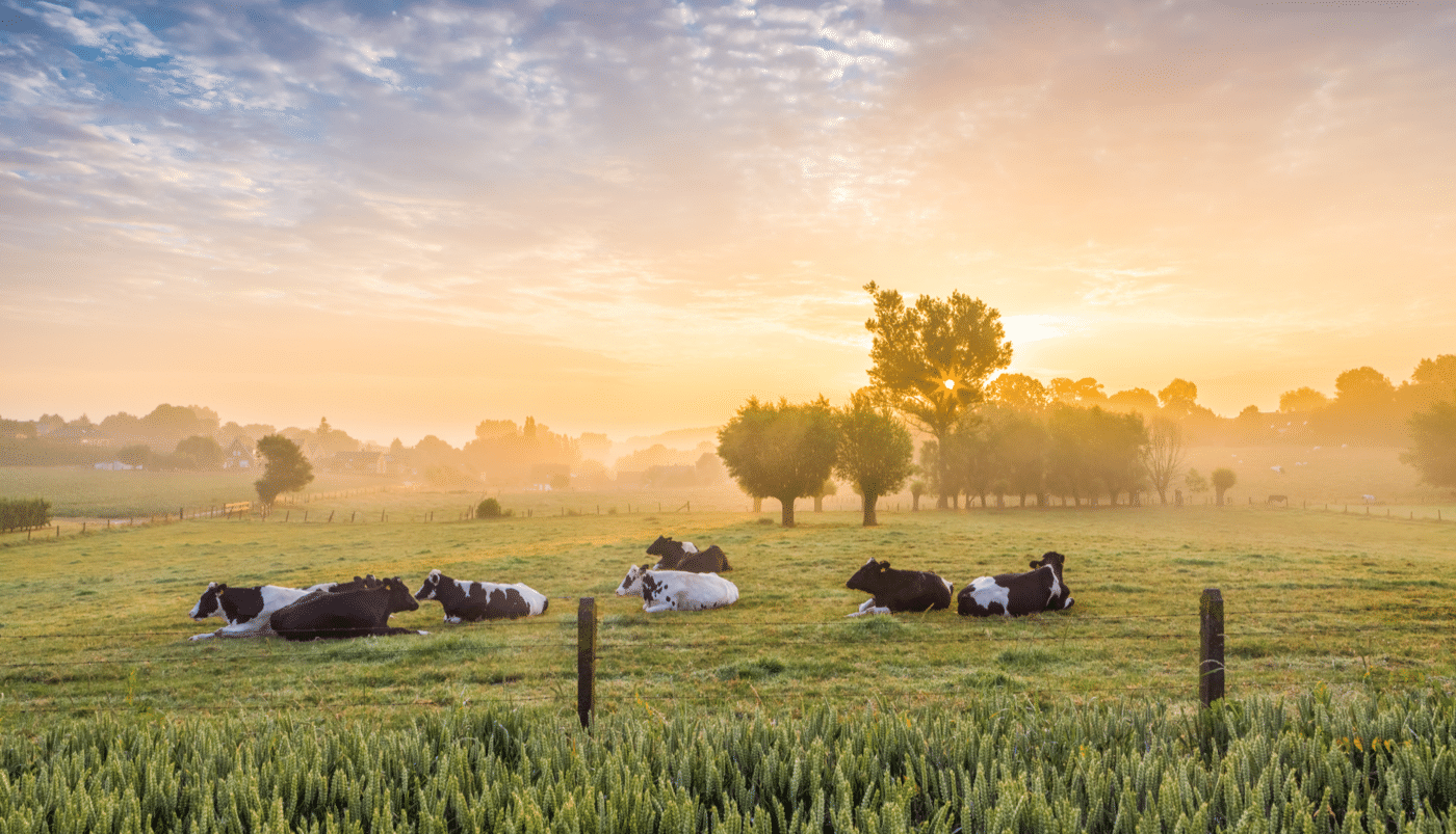Summit SmartFarms Blog Post Example (4)
