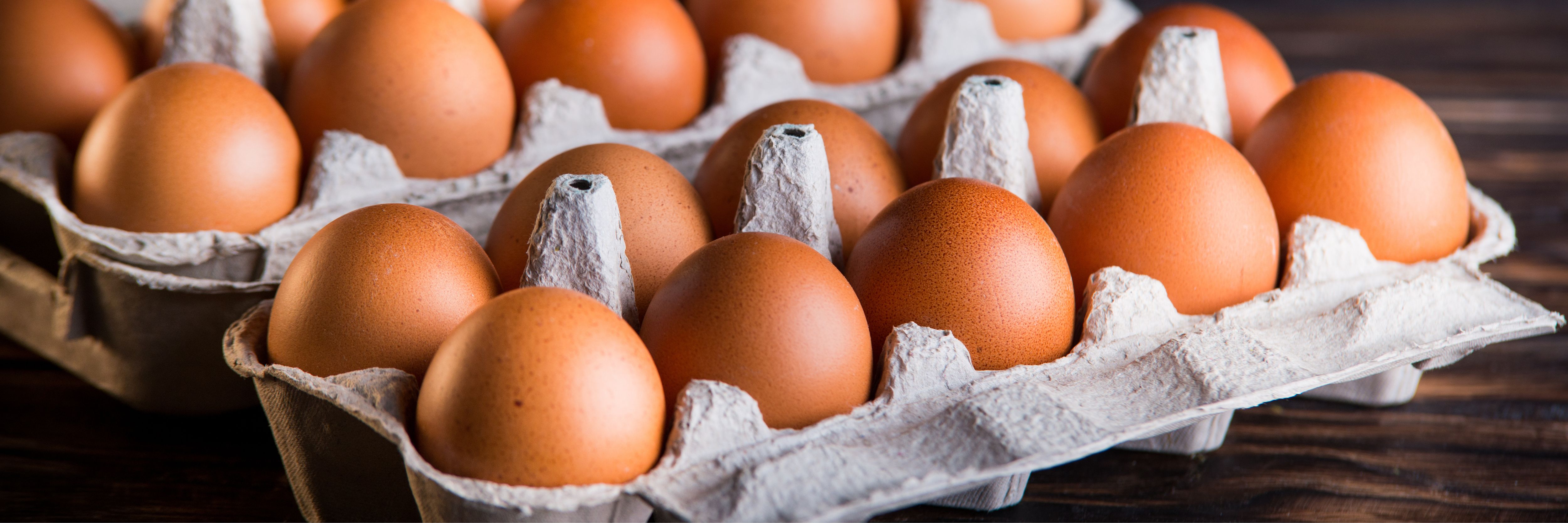 Consumer Demand for Eggs Grows Worldwide